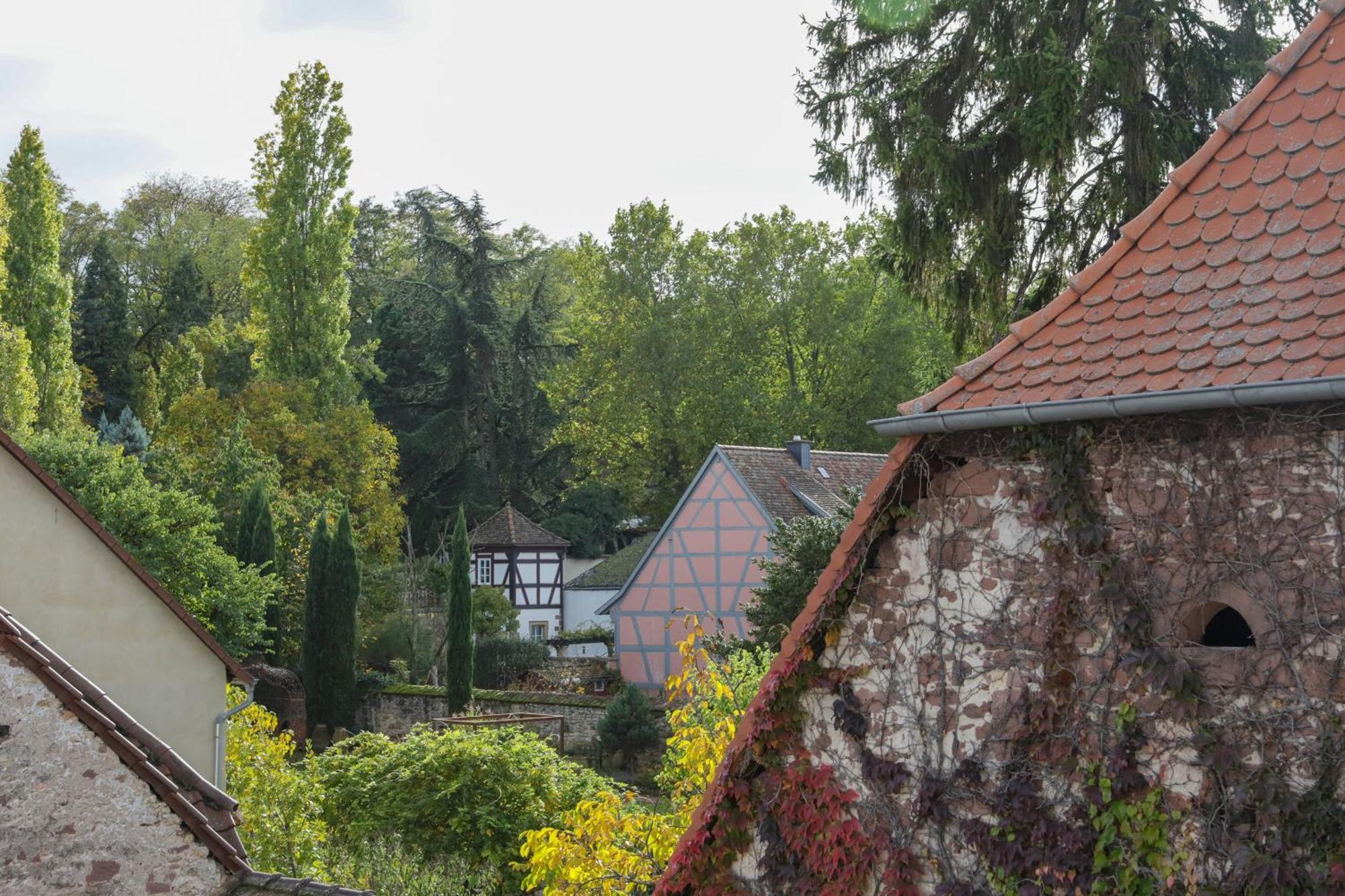 Boutique-Hotel Im Sternenhof Grosskarlbach Ngoại thất bức ảnh